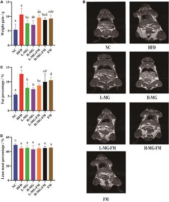 Bifidobacterium animalis subsp. lactis MN-Gup protects mice against gut microbiota-related obesity and endotoxemia induced by a high fat diet